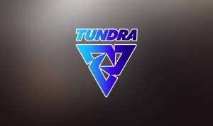 Тундра